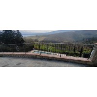 Wrought Iron RAILING. Personalised Executions. 1043