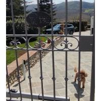  Iron RAILING. Personalised Executions. 1875