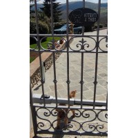  Iron RAILING. Personalised Executions. 1875