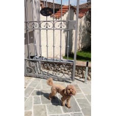 RINGHIERA Ferro . Realizzazioni Personalizzate . cod. 1875 . Detrazioni fino al 50%.