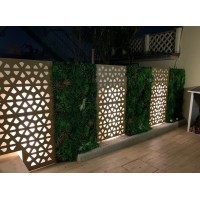 Iron RAILING with laser design. Personalised Executions. 919