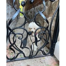 Wrought Iron Pedestrian Gate. Personalised Executions. 1519