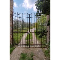 Wrought Iron Driveway Gate. Personalised Executions. 190