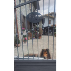 Targa Targhetta Cartello "ATTENTI AL CANE" in ferro . Disegno Laser Bulldog Inglese . 1750 